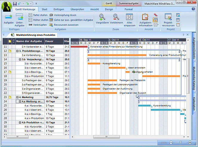 Projektablaufplan Software